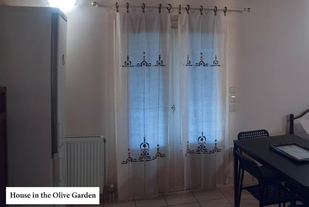 House In The Olive Garden Apartment Ágios Ioánnis Екстериор снимка